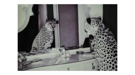 CHEETA i spegel, glas, 100×150 cm – Dina Möbler