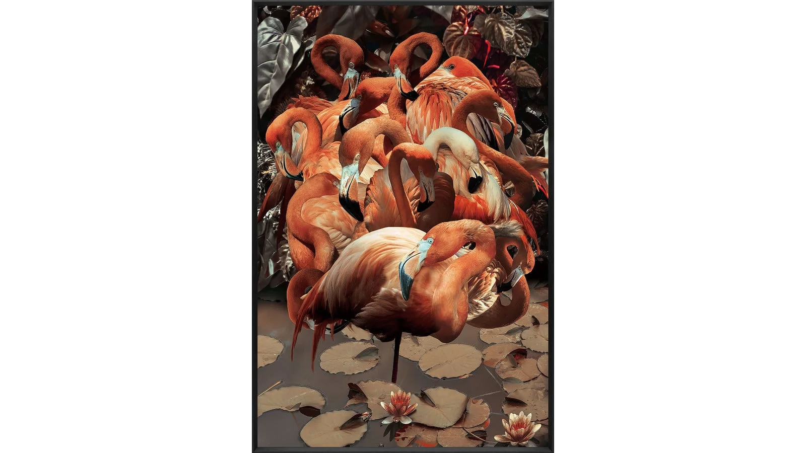 BILDE Flamingo, 80x120, glas m ram
