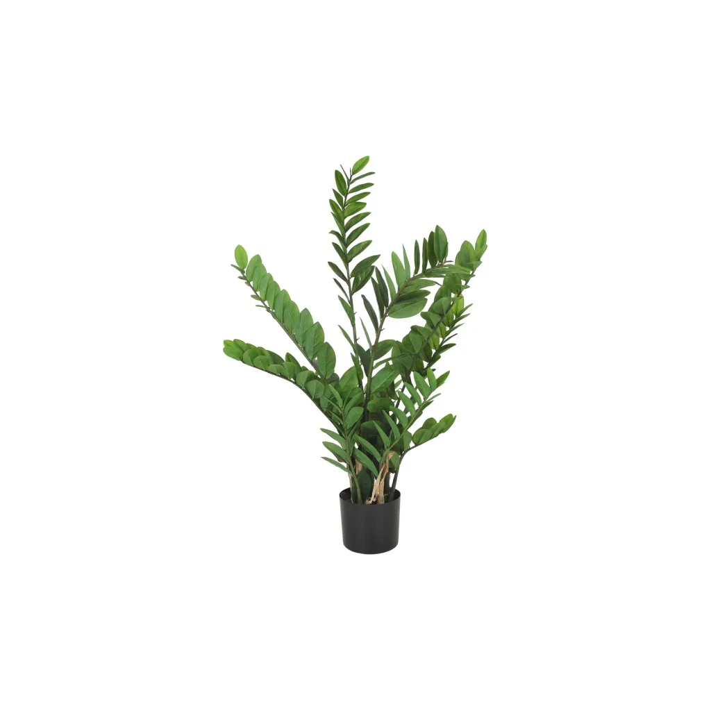 Verde smaragdpalm
