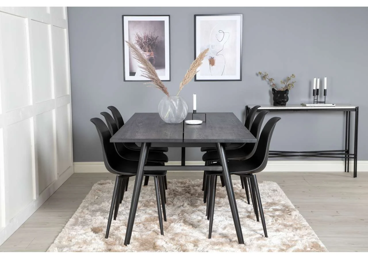 Sleek Matbord med Anna Matstolar