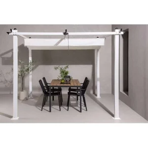 Lazio Pergola - Vit