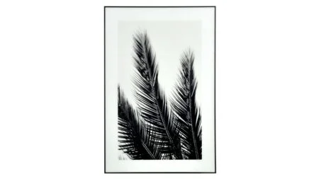 BILDE B&W PALMS 120X80CM – Dina Möbler