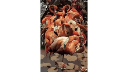 Bilde Flamingo 80×120 cm Glas – Dina Möbler