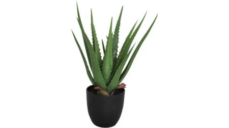 Viridis Aloe Vera – 1-pack – Dina Möbler