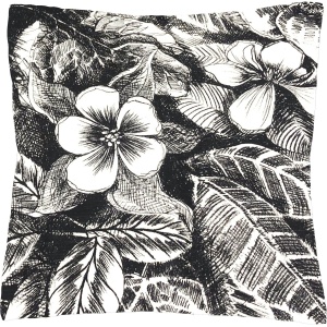 Sonia Kuddfodral Svartvit 45x45cm