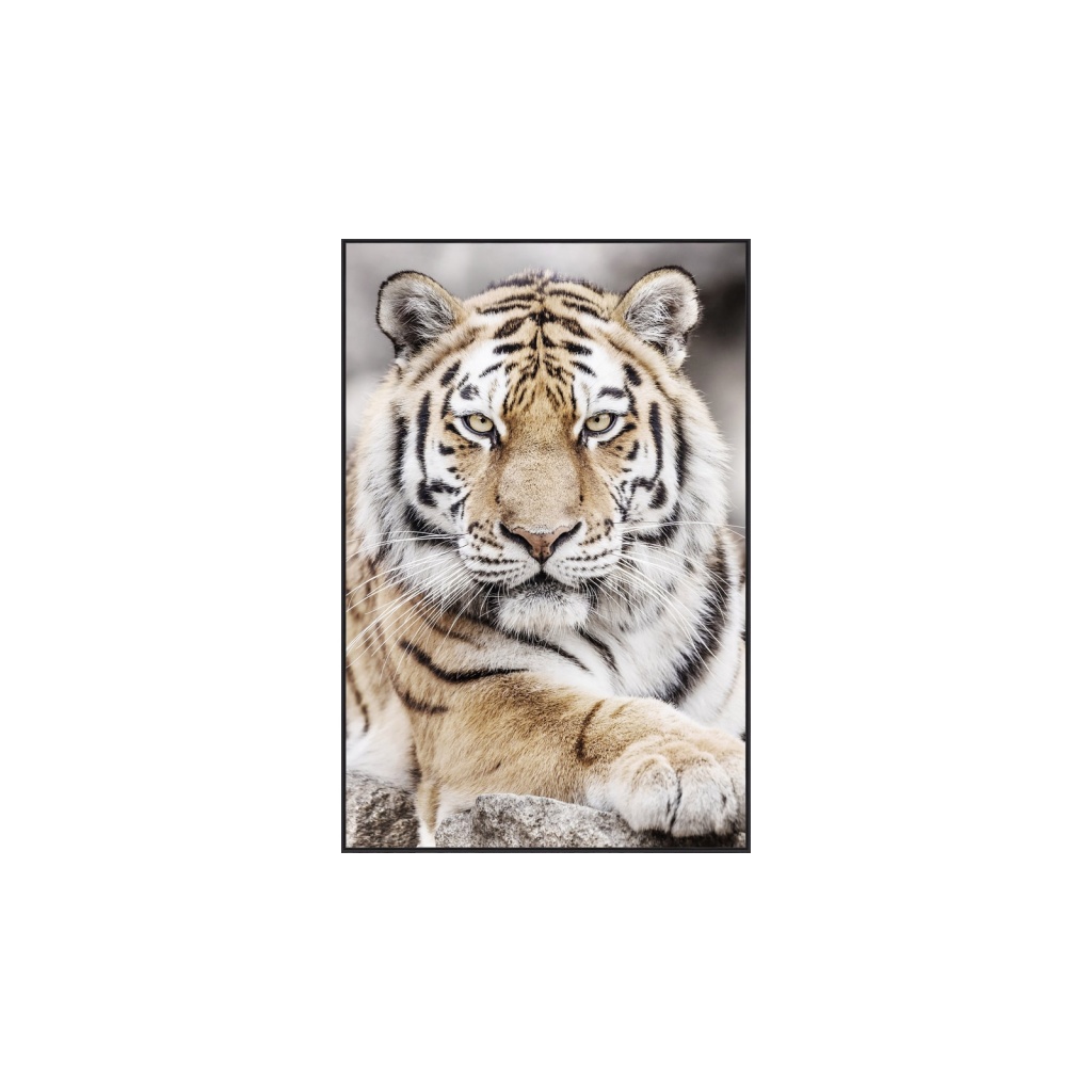 BILDE Tiger II, 120X90