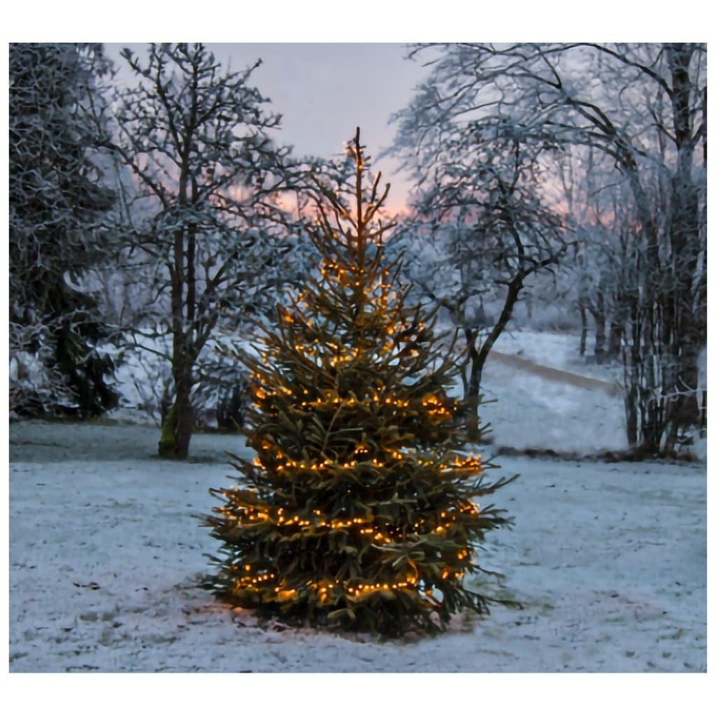 Ljusslinga Golden Warm White - LED - 2400cm - Star Trading