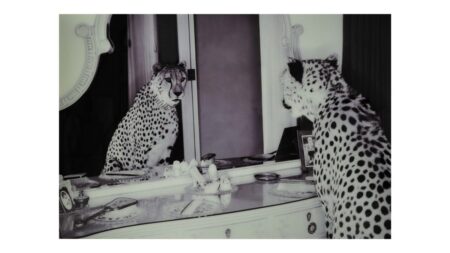 CHEETA i spegel, glas, 100×150 cm – Dina Möbler