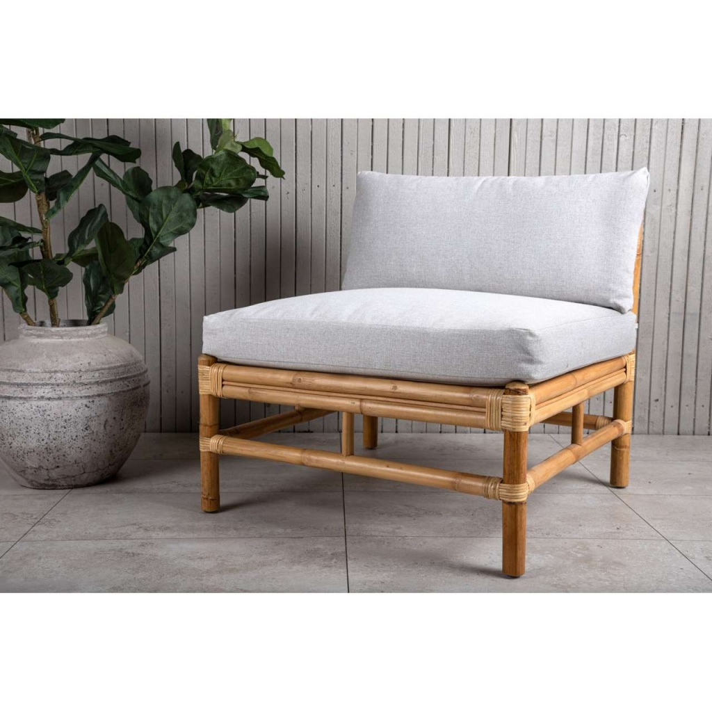 Cane Mittmodul