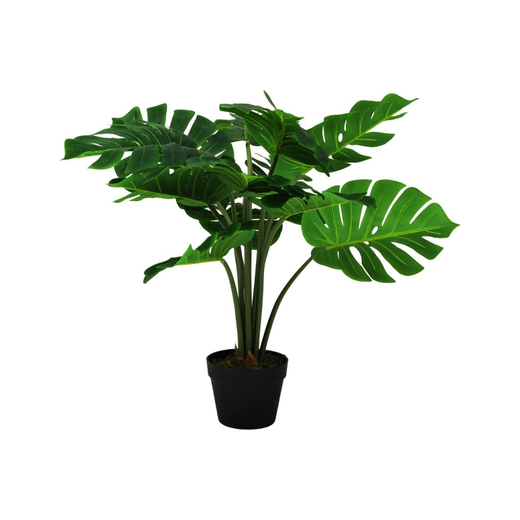VERDE Monstera planta, stor