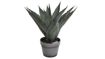 ALOVERAPLANTA , H45 – Grå, 45 cm, 1-pack – Dina Möbler