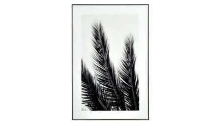 BILDE B&W PALMS 120X80CM – Dina Möbler