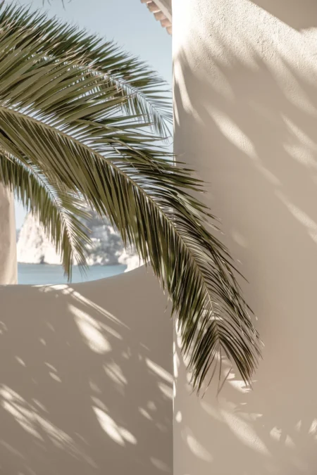 Palmleaf Posters Beige