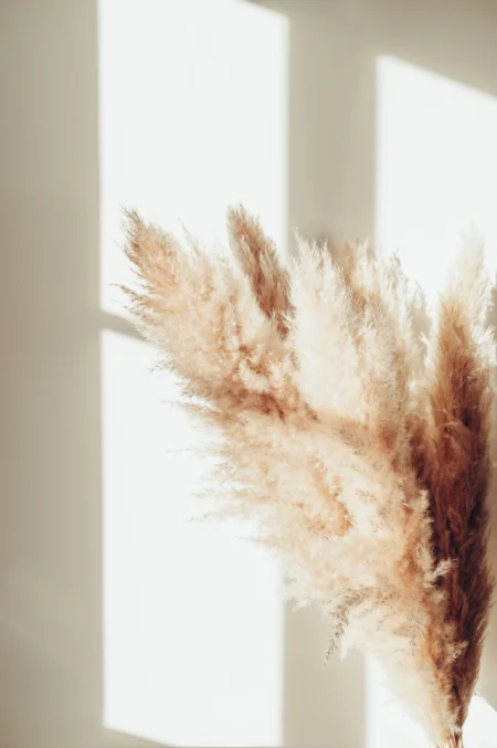 Pampas Posters Beige