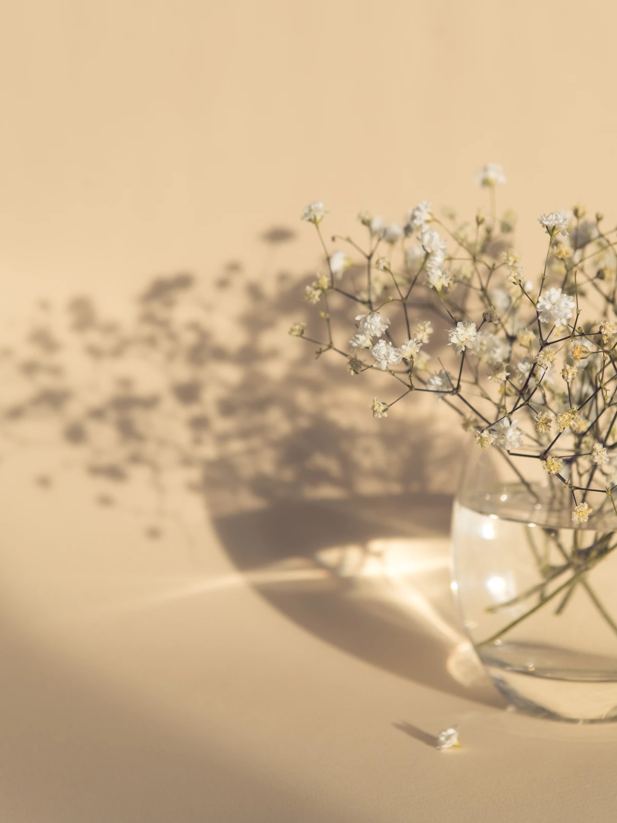 White Flowers Posters Beige