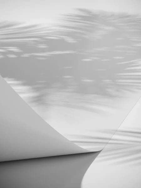 Papyrus Posters White