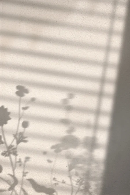 Flower Shadow Posters White