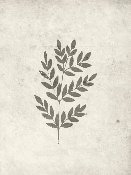 Spring leaf Posters Beige