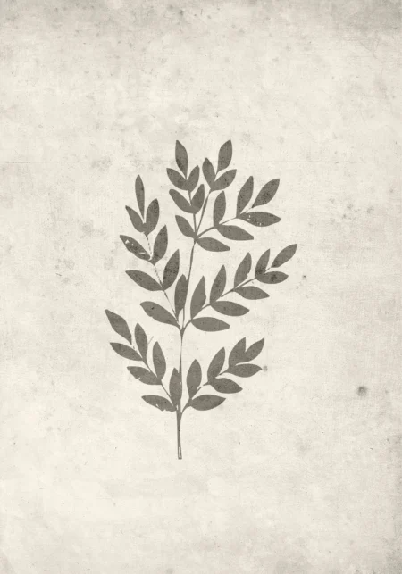 Spring leaf Posters Beige