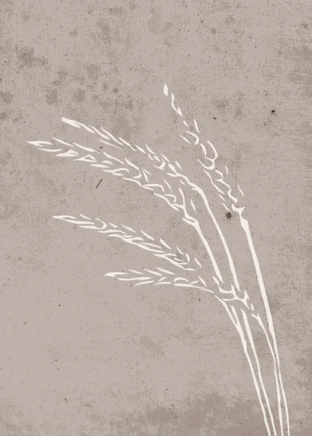 Seeds Posters Beige