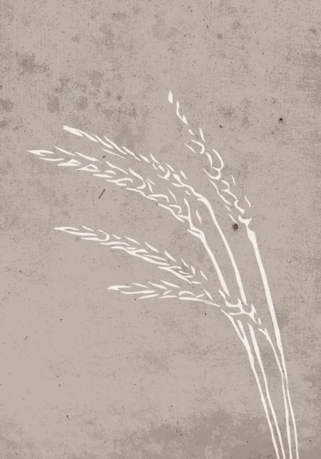 Seeds Posters Beige
