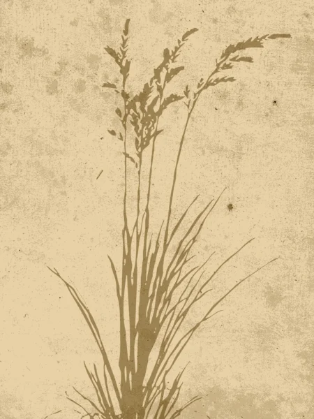 Plant art Posters Beige