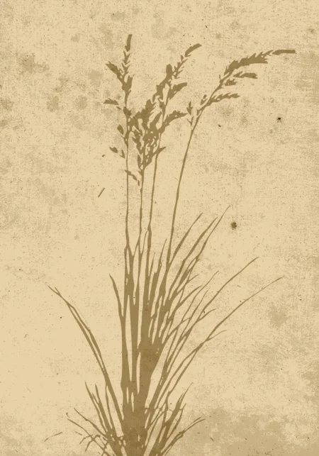 Plant art Posters Beige