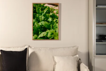 Gree leaf Posters Green