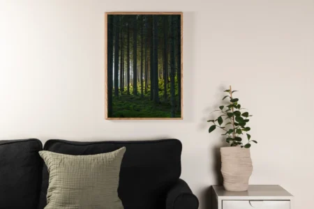 Woods Posters Green