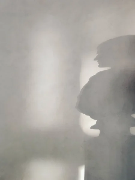 Human shadow Posters Grå