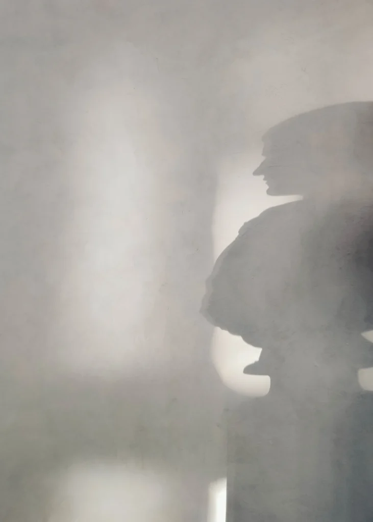 Human shadow Posters Grå