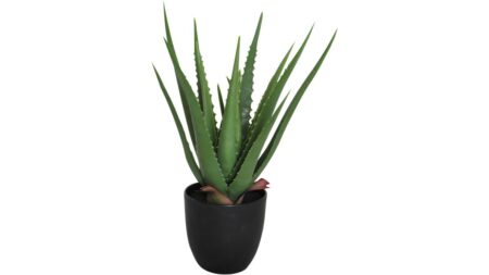 Viridis Aloe Vera – 1-pack – Dina Möbler